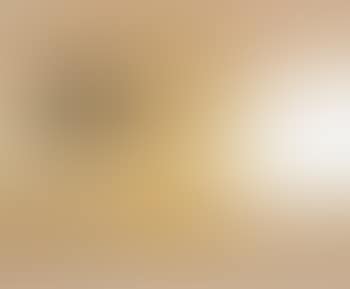 Still Life with Sheets of Paper (preview)