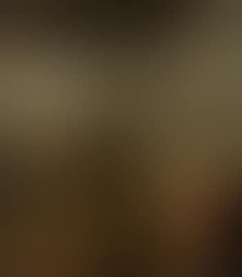 In der Scheune (preview)