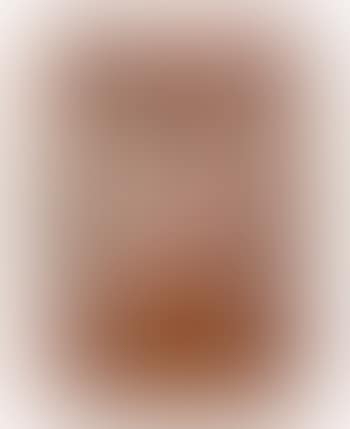A Dingo Iconograph (preview)