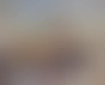 Paysage enneigé (preview)