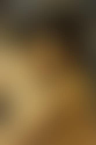Portrait de jeune femme brune nue, penchée en avant (preview)