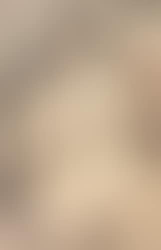 Femme nue assise (preview)