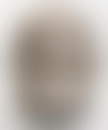 Vase (preview)