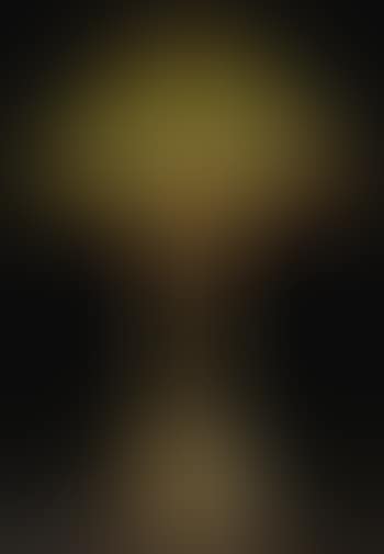 Venetian Table Lamp (preview)