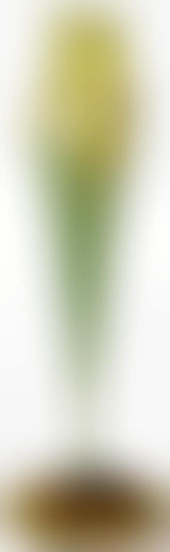 A Monumental Calyx Floriform Vase (preview)