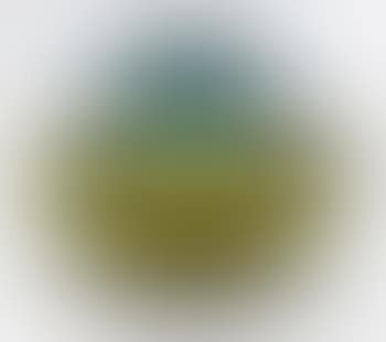 Decorated Vase (preview)