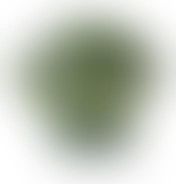 Vase (preview)