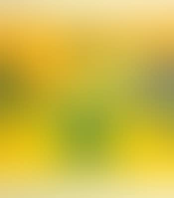 Untitled (Lily by my Window) (preview)