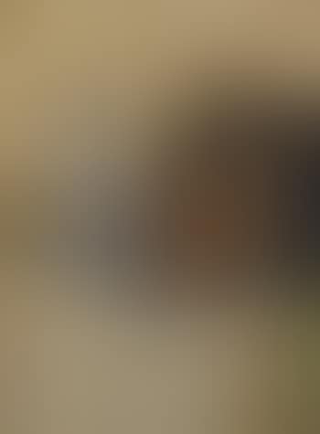 Stillleben mit asiatischen Vasen (preview)