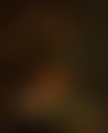 Stilleben mit Vogelnest (preview)