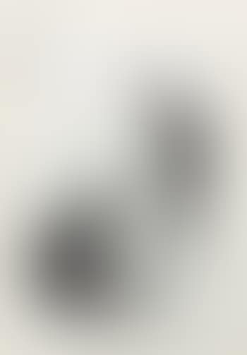 Three donkeys (preview)