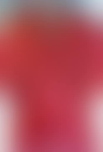 Untitled (Robe de Chambre) (preview)