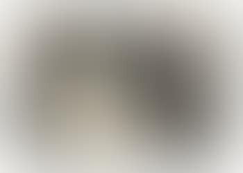 Sun on a Black Net (preview)