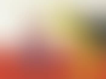 Yellow Cattle (preview)