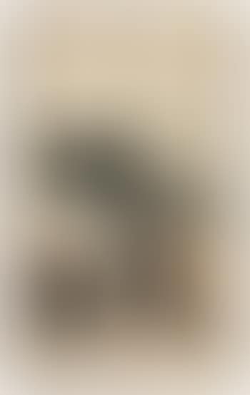 Untitled (preview)