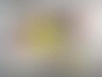 Abstract (preview)