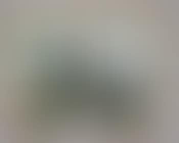 Abstract still life, basket of fruit (preview)