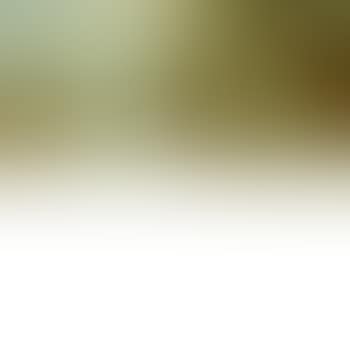 Polder with Young Cattle (preview)