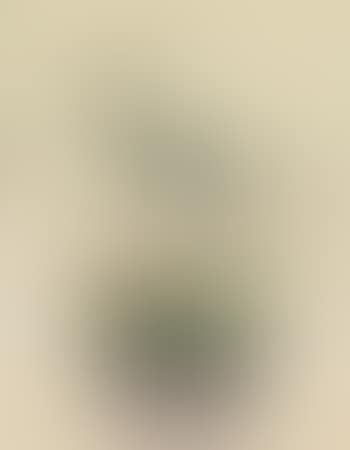 A Group of Six Paintings of Birds and Flowers (preview)