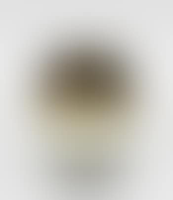An Early Vase (preview)