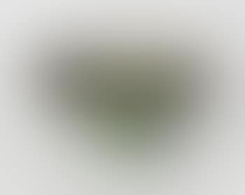 Footed Bowl (preview)
