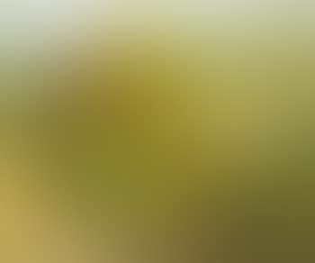 A Provencal landscape (preview)
