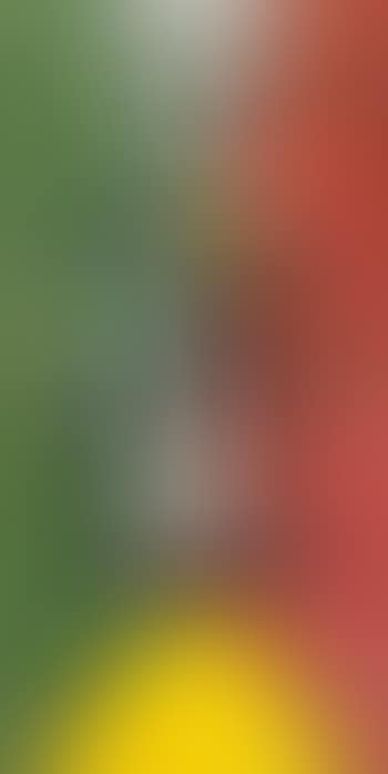 Figure on Red & Green Background (preview)