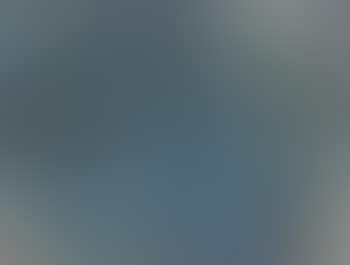 Wallpaper in Paris (preview)