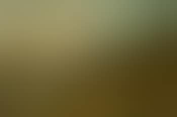 Dorking, Surrey (preview)