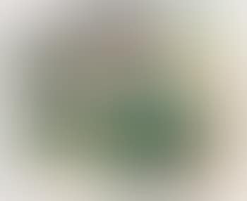 Skiilp (preview)