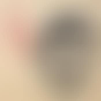 Self-portrait As Jasper Johns (preview)