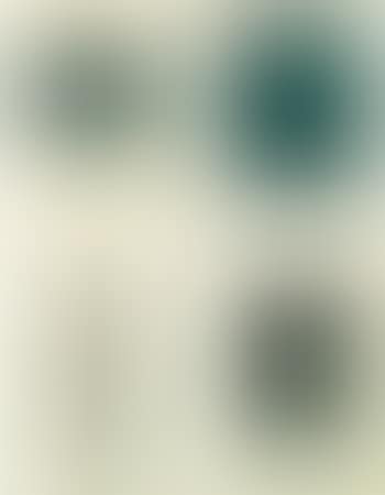 Passport (preview)