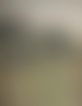In der Dune, cottage view (preview)