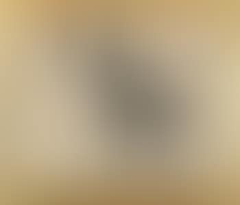 Centaure et Bacchante (preview)