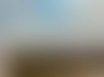 Landscape (preview)