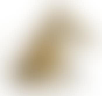 Sitzender Hund (preview)