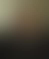 The artist's self-portrait (preview)