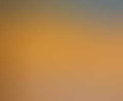 Flugten til Egypten [The Flight into Egypt] (preview)
