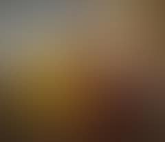 Still life with a goldfinch, grapes and peaches (preview)
