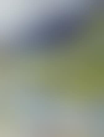 Die Tremola (preview)