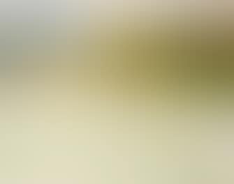 Ausblick aus dem Atelier (preview)