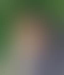 Portrait of Mr. Toxsværd (preview)