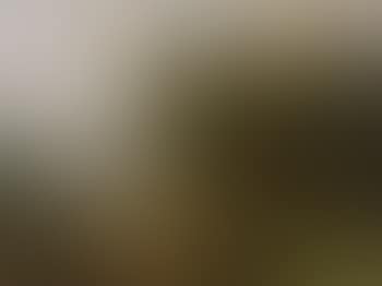 Landschaft Mit Wanderern Und Reisigsammlern (preview)