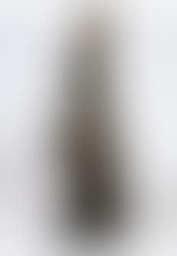 Venere (preview)
