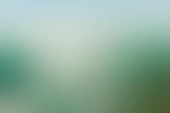 On The Banks Of The Hudson River (preview)