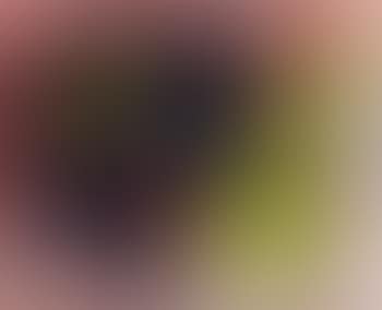 Composition 34 N (preview)