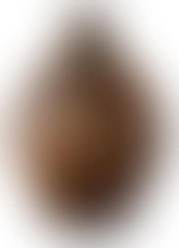 Vase (preview)