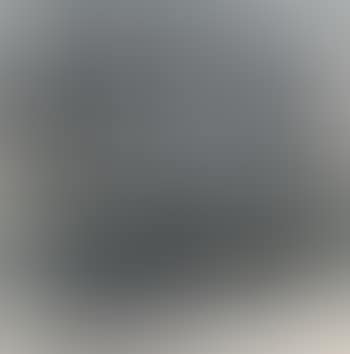 Wintry Trees (preview)