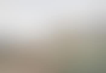 Sheep resting on a hillside (preview)