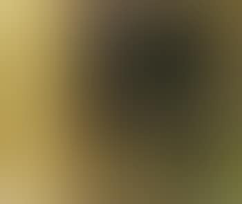 Diptychon (preview)